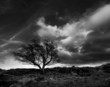 stormy day