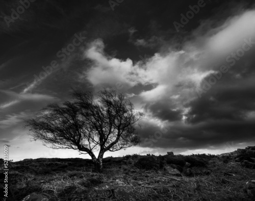Photo: stormy day stormy day