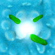 Chlorobium - Schwefelbakterien - 3D Render