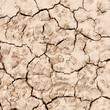 Photo: texture of dry cracked earth background . texture of dry cracked earth background .