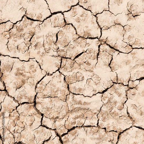 Фото: texture of dry cracked earth background. texture of dry cracked earth