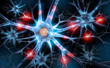 Illustration: Neuronen Neuronen
