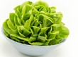 Foto: Lechuga Lechuga