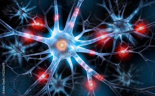 Illustration: Neuronen Neuronen