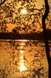 Sundown on the river
