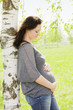 Pregnant at tree