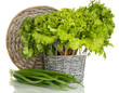 Useful herbs isolated on white
