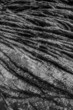 jagged rock background
