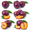 Set of ripe purple plum fruits isolated