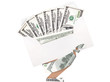 Hand and money in envelope isolated