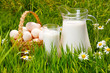 Milk jug, glass and eggs basket on the grass