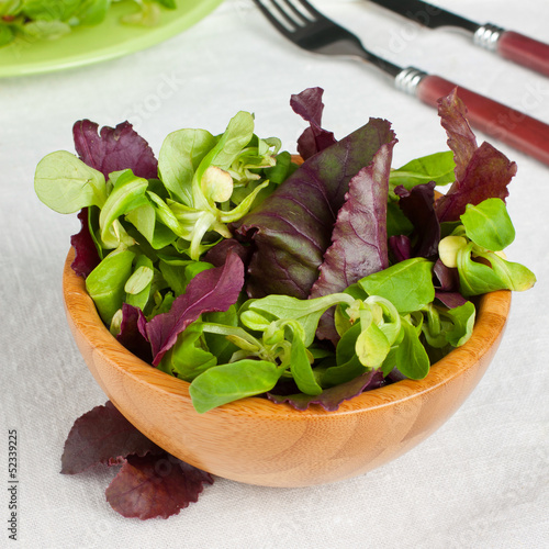 Photo: Bowl with salad Bowl with salad