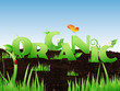 Illustrated word "Organic" on soil