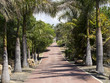 Avenue