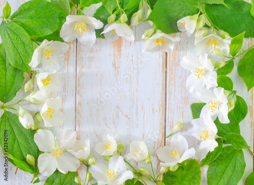 Photo: jasmine spring flowers frame on white background jasmine spring flowers frame on white background