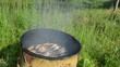 Video: ecologic fish smoked in smokehouse and smoke rise ecologic fish smoked in smokehouse and smoke rise