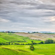 Tuscany, rural landscape. Farmland, white road and trees. Italy.