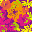 hibiscus,motif,fleur,papier peint,feuillage,exotique,tropical