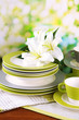 Empty plates and cups on wooden table on green background
