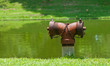 old red fire hydrant on nature background