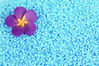 Green beads with decorative handmade flower closeup