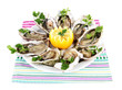 Oysters isolated on white