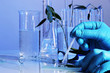 Test tubes with plant and hand close-up