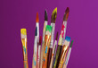 Many Brush In Paint On Purple ...