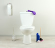 White toilet bowl and  cleaner bottle in a bathroom