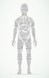 human body wordcloud