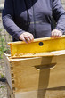 Beekeeping