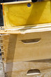 Beekeeping