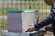 Beekeeping