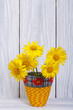 Yellow daisies in a vase on a wooden background