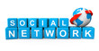 Social Network Concept. Cubes with Earth Globe