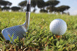 Foto: Golf putter and ball Golf putter and ball