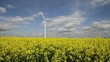 erneuerbare energie