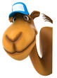 Fun camel