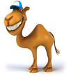 Fun camel