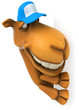 Fun camel