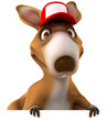 Fun kangaroo