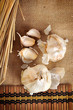 two garlics