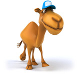Fun camel