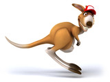 Fun kangaroo