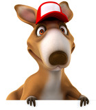 Fun kangaroo