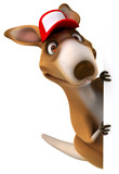 Fun kangaroo