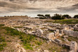 Gnatia
