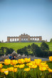 Vienna - Castle Schönbrunn | Gloriette