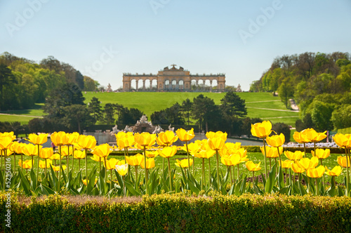 Photo: Vienna - Castle Schönbrunn | Gloriette Vienna - Castle Schönbrunn | Gloriette