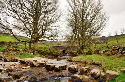 Photo: Stepping stones across Cray Gill, Yorkshire Stepping stones across Cray Gill, Yorkshire